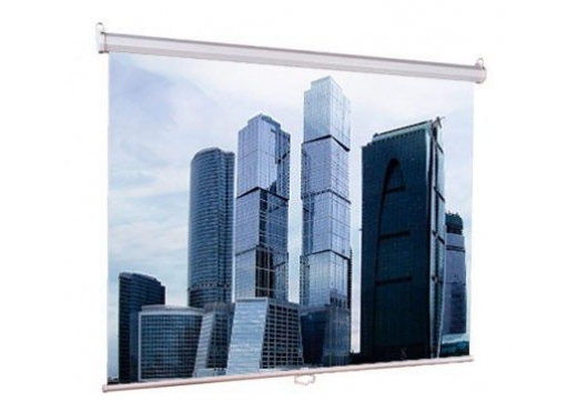Экран LUMIEN Eco Picture LEP-100101, 150х150 см, 1:1, настенно-потолочный