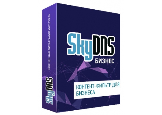 SkyDNS.Бизнес