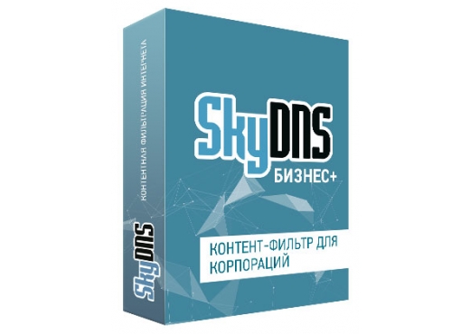 SkyDNS.Бизнес +