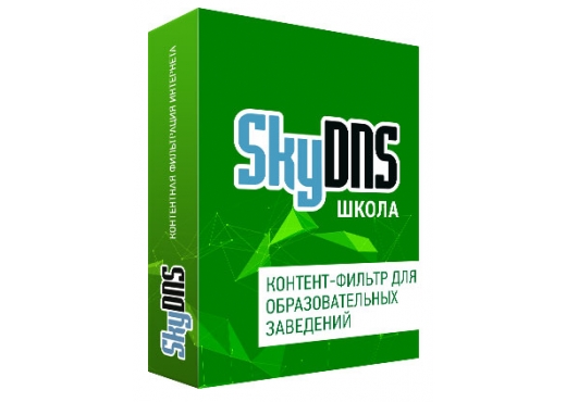 SkyDNS.Школа