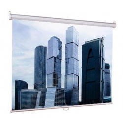 Экран LUMIEN Eco Picture LEP-100101, 150х150 см, 1:1, настенно-потолочный