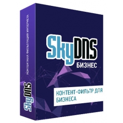 SkyDNS.Бизнес