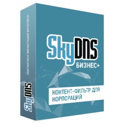 SkyDNS.Бизнес +