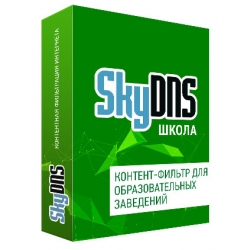 SkyDNS.Школа