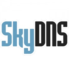 SkyDNS.Школа 